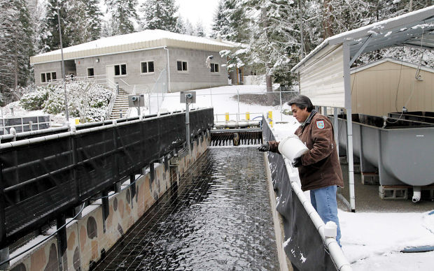 Disappearing Salmon Hatcheries